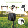 Solar Powered String Lights