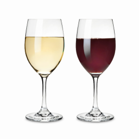 Taste  Red And White Tasting Glass By True Set