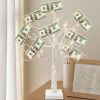 Lighted Money Trees with Greeting Cards, Gift Holders