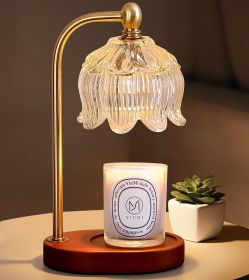 Candle Warmer Lamp with Timer, Birthday Gift