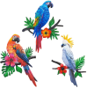Metal Parrots Wall Art Decor Outdoor Decorations