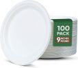 9 Inch Paper Plates 100 Pack  for Parties