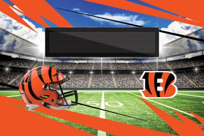 Official NFL Bengals - 20" x 32" Personalized Washable Rug