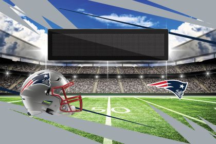 Official NFL Patriots - 20" x 32" Personalized Washable Rug