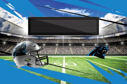 Official NFL Panthers - 20" x 32" Personalized Washable Rug