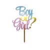 Boy or Girl Cake Decoration