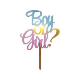 Boy or Girl Cake Decoration