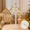 Lighted Money Trees with Greeting Cards, Gift Holders