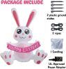 3.8 FT Easter Inflatable Cute Bunny Outdoor Decorations