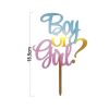 Boy or Girl Cake Decoration