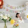 Daisies Macaroon Happy Birthday Party Flags Decoration