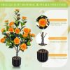 Artificial Camellia Tree 2 Pack, 36"Faux in a Pot