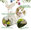 Sisal Easter Bunny Decor with Slide, Straw Decoratipons