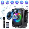 Portable Wireless Party Speaker with LED Light 2 Wireless Mics