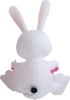 3.8 FT Easter Inflatable Cute Bunny Outdoor Decorations