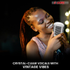 Retro Dynamic Vocal Iconic Microphone Vintage Style