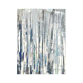Silver Multicolor Curtains Photo Booth Props for Engagement Bachelorette (Color: Multi-Color)