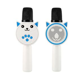 The microphone is exquisitely designed (Color: Blue)