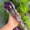 Amethyst Scepter, Large Raw Uncarved Crystal, Valentine'S Day
